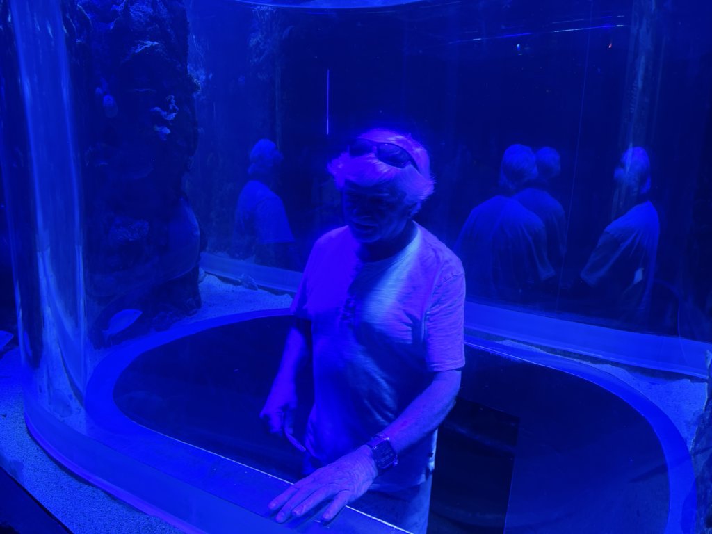 img_0409.jpg