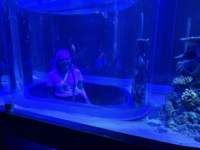 img_0413_small.jpg