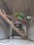 pxl_20250819_183400261_small.jpg