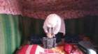 _080136_small.jpg