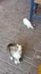 _132751_small.jpg