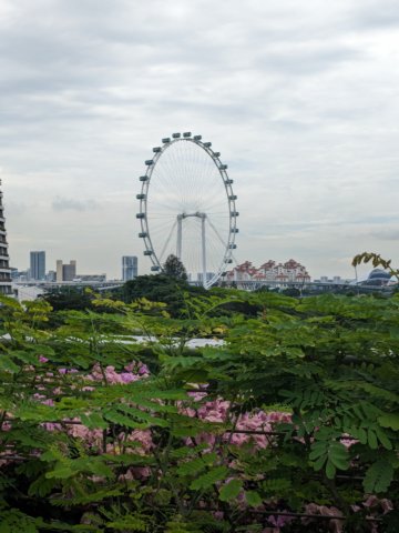 thesingaporeversionoftheeye.jpg