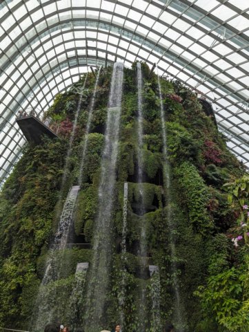 waterfallinthebotanicalgreenhouse.jpg