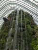 waterfallinthebotanicalgreenhouse_small.jpg