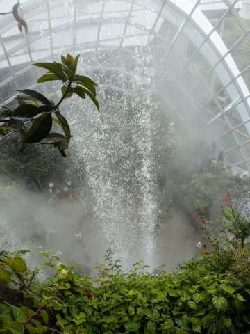 waterfeaturethebotanicalgreenhouse.jpg