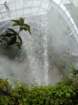 waterfeaturethebotanicalgreenhouse_small.jpg