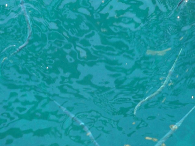 cruise193.jpg