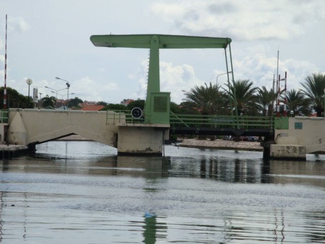 cruise231.jpg