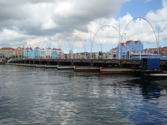 cruise243.jpg