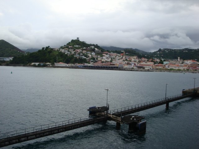 cruise331.jpg