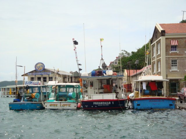 cruise379.jpg