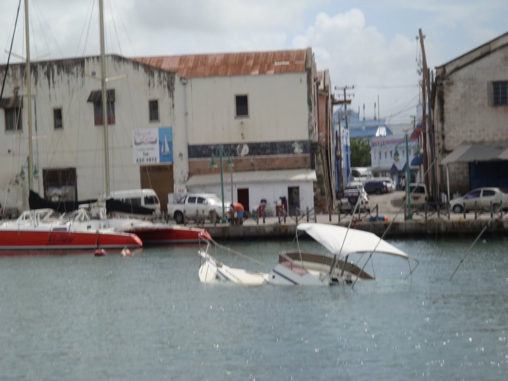 cruise415.jpg
