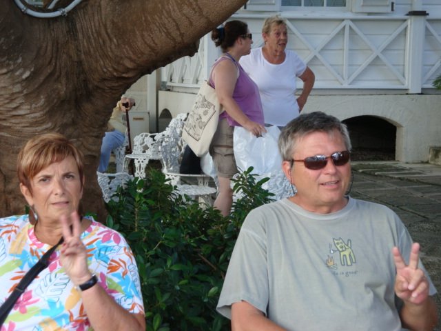cruise452.jpg