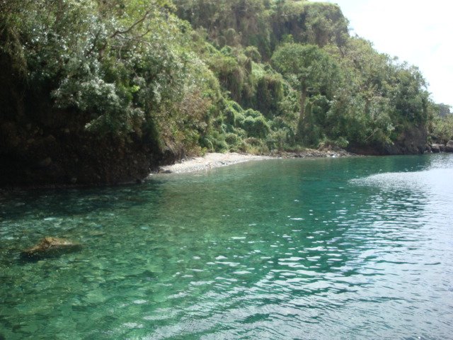 cruise570.jpg