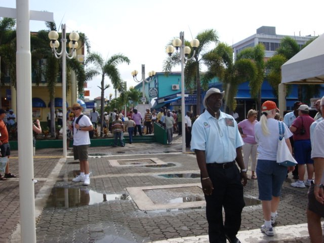 cruise575.jpg