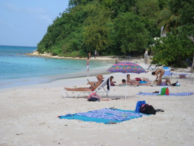 cruise600.jpg