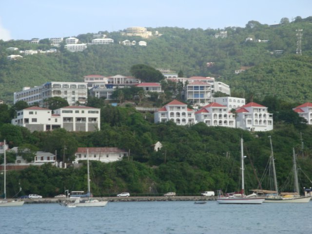 cruise738.jpg