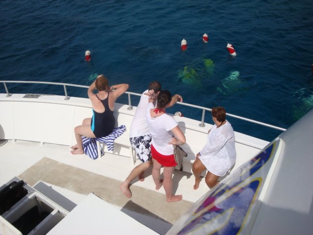 cruise768.jpg