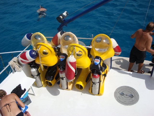 cruise776.jpg