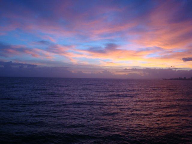cruise803.jpg