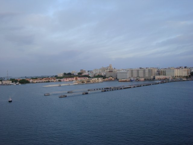 cruise816.jpg