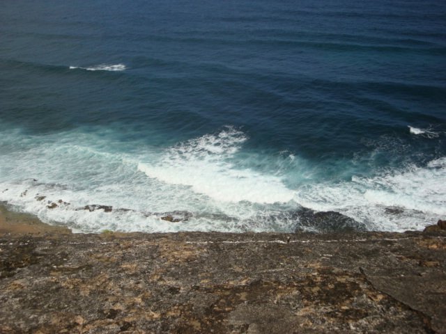cruise846.jpg