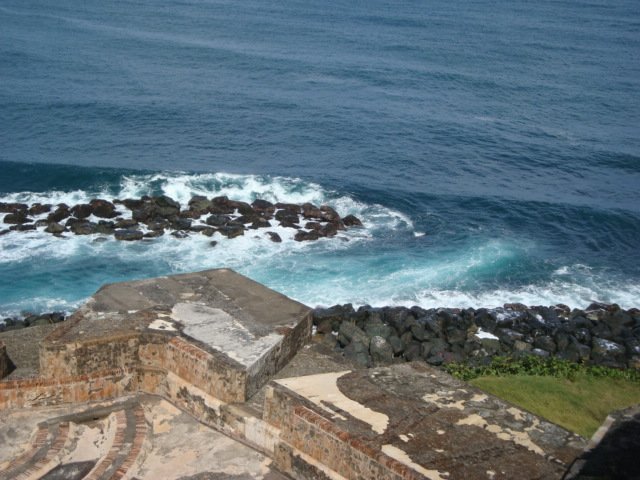 cruise900.jpg