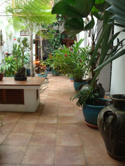 cruise932.jpg