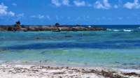 wp_20170919_13_38_17_pro_small.jpg