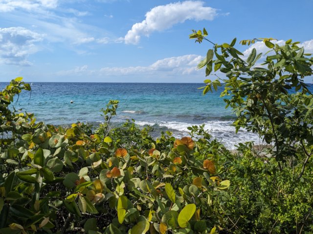 pxl_20231016_195658778.jpg