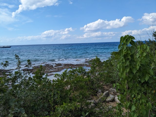 pxl_20231016_200009225.jpg