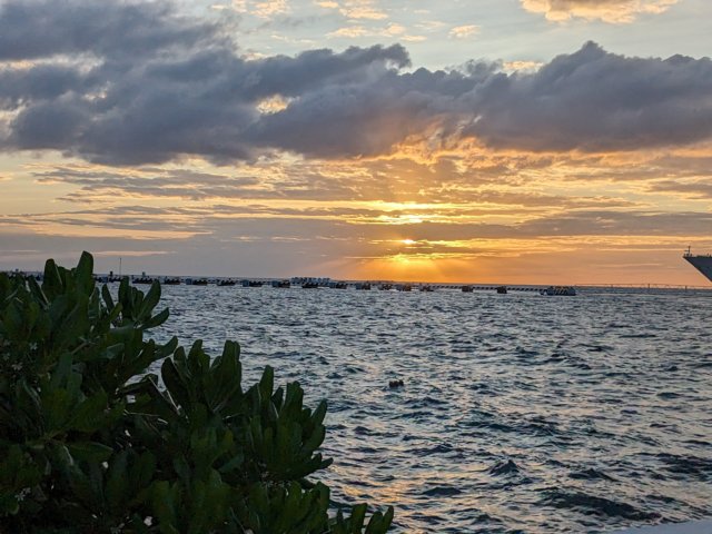 pxl_20231017_231128583.jpg