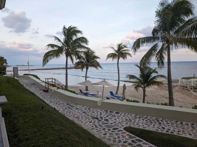 pxl_20231019_225654175.jpg