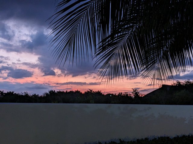 pxl_20231019_234106961.jpg
