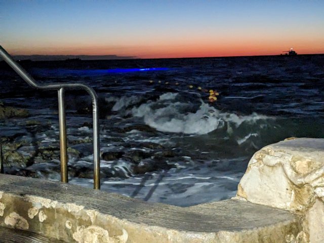 pxl_20231020_235740706.jpg