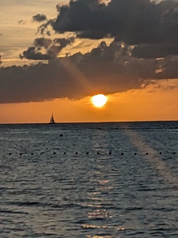 pxl_20231025_231057919.jpg