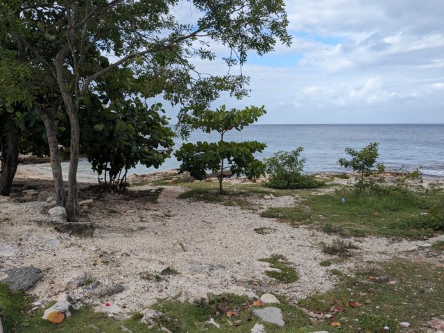 pxl_20231027_140511151.jpg
