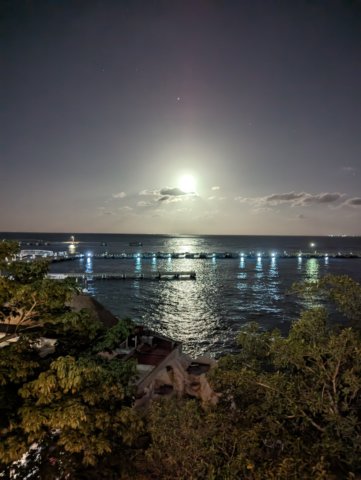 pxl_20231028_104728760night.jpg