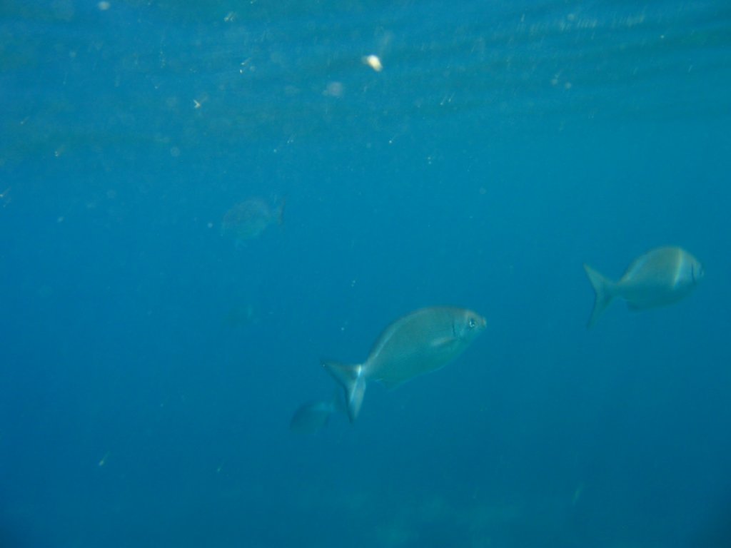 img_3386.jpg