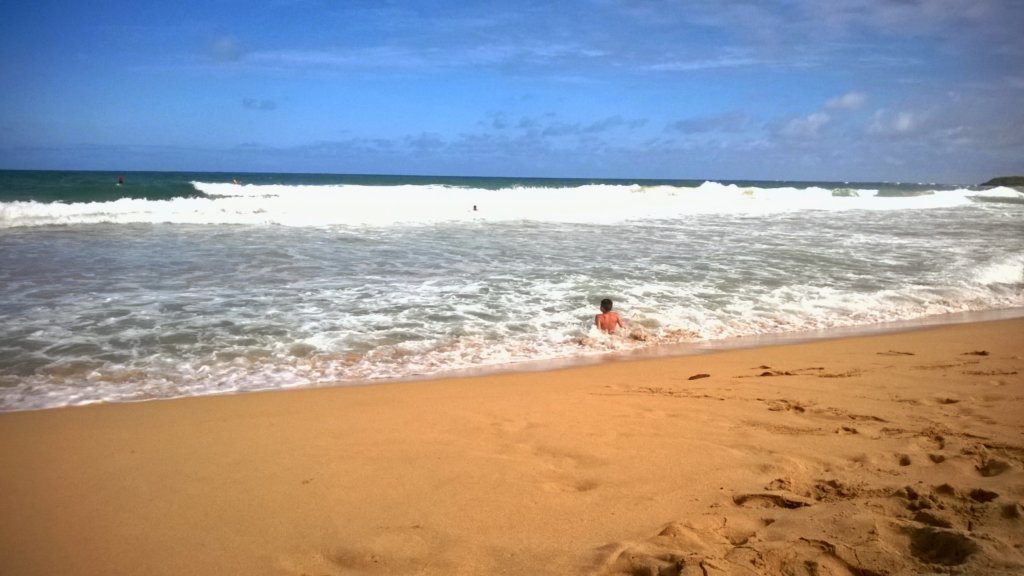 wp_20140802_029.jpg