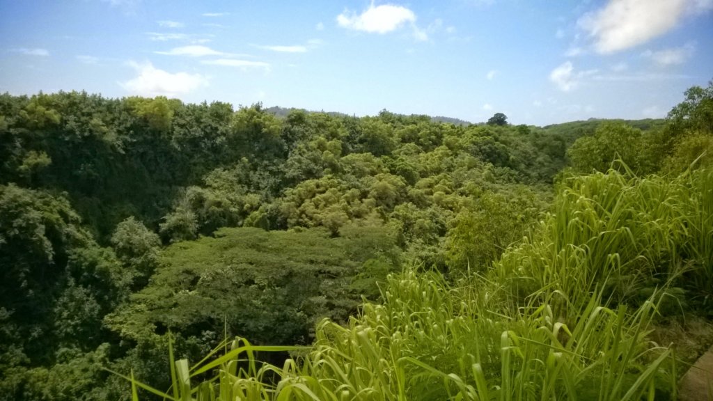 wp_20140804_004.jpg