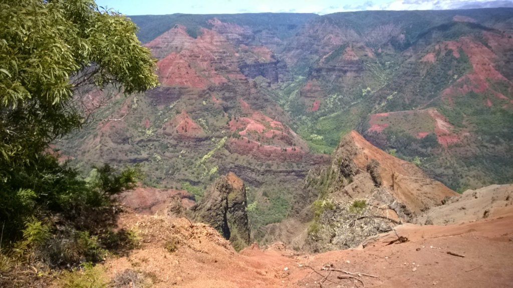 wp_20140804_013.jpg