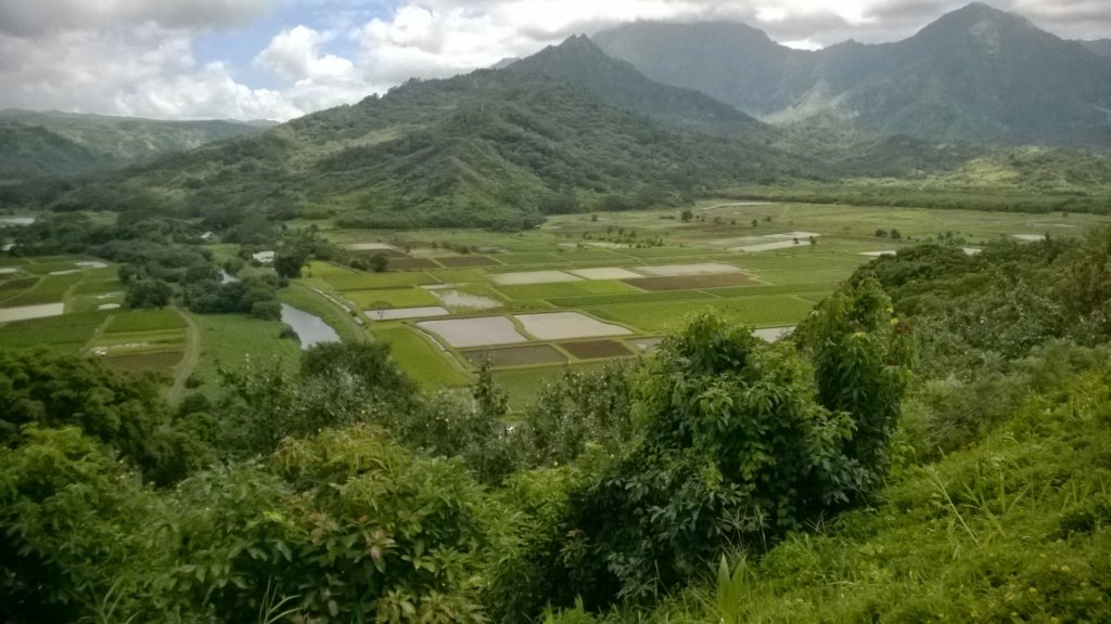 wp_20140807_002.jpg