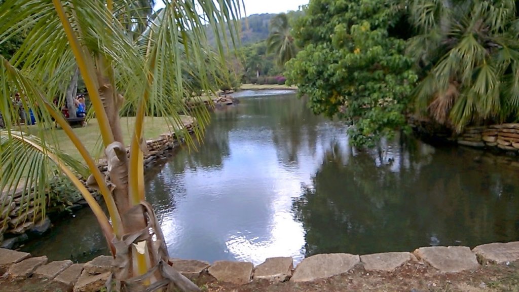 wp_20140807_004.jpg