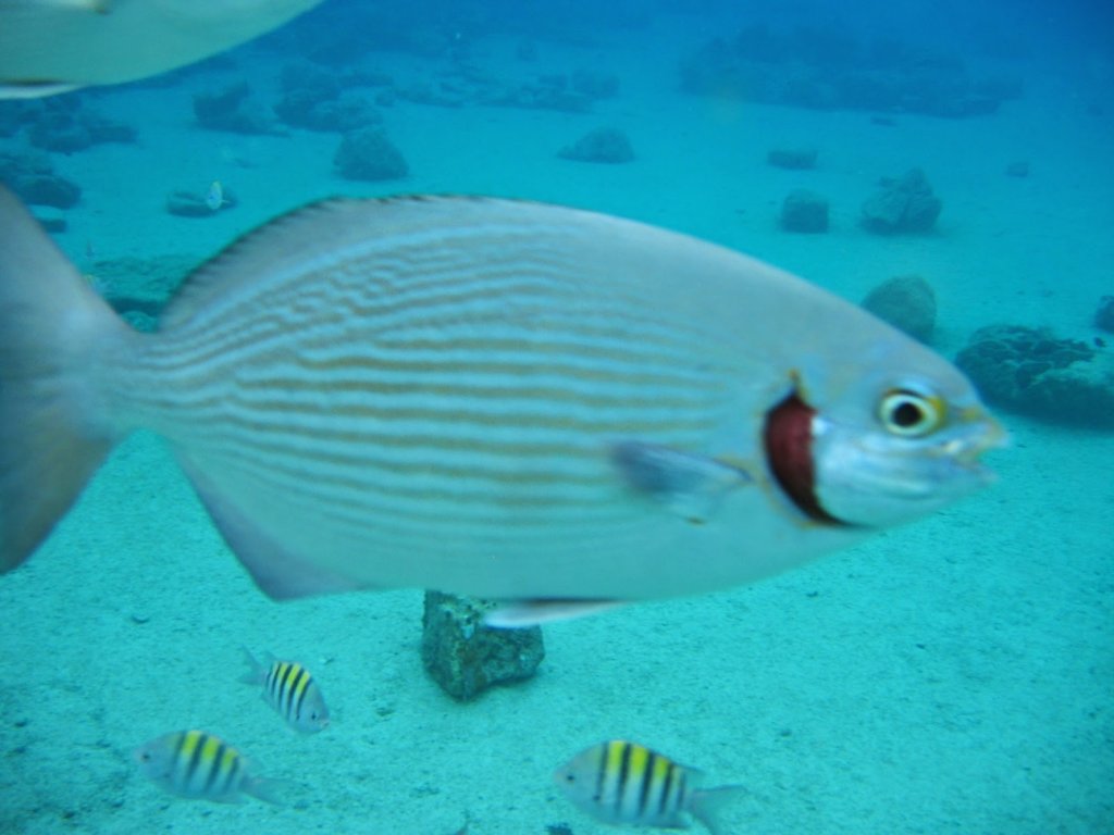 img_2925.jpg