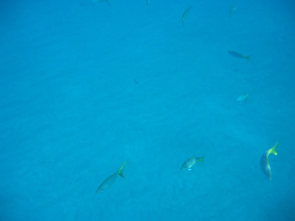 img_3271.jpg