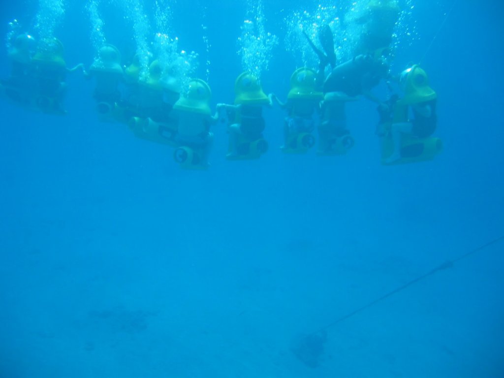 img_3279.jpg