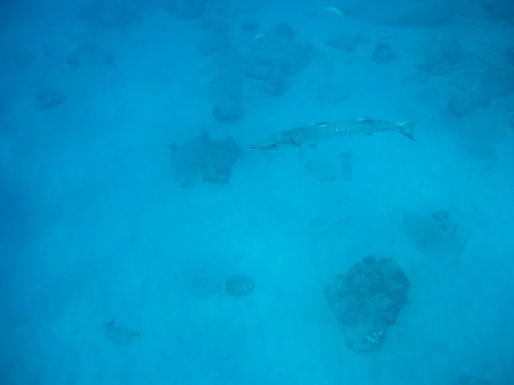 img_3282.jpg