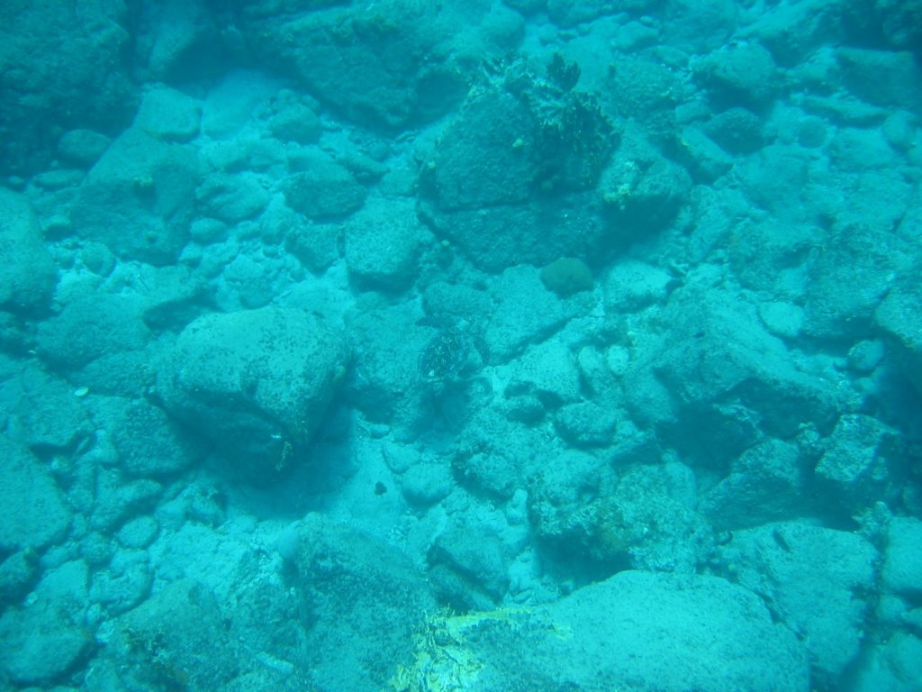 img_3295.jpg