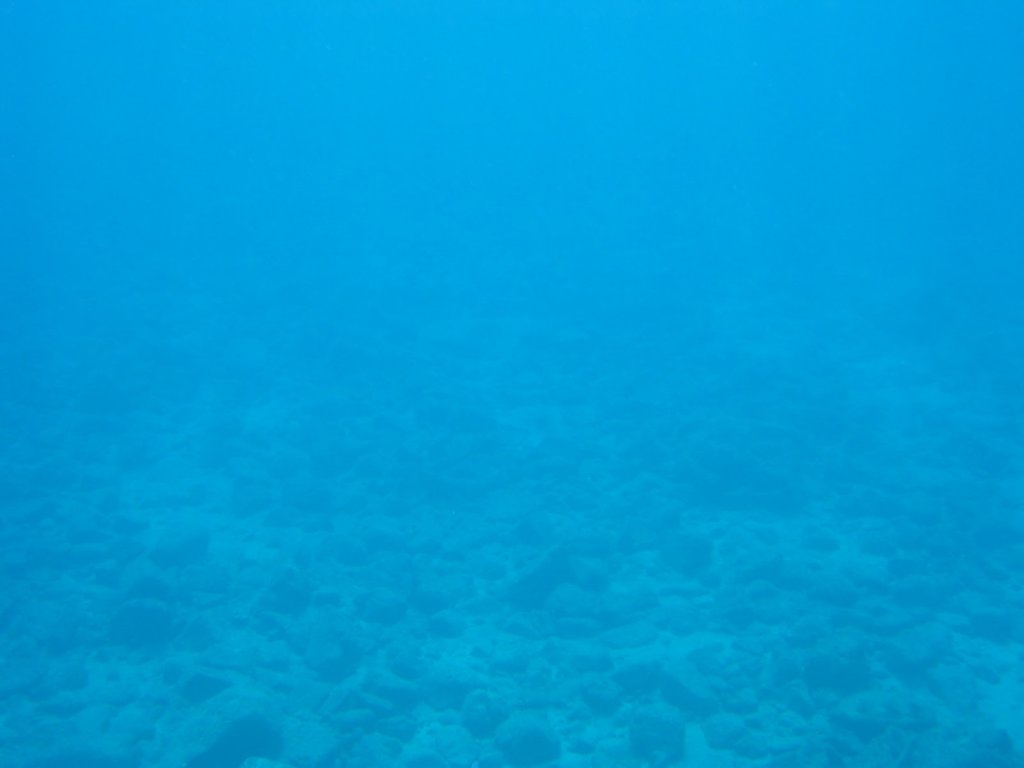 img_3297.jpg